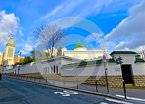 A view of the famous mosque in Paris