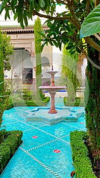 A view of the famous mosque in Paris