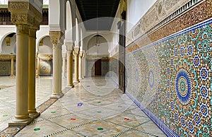 A view of the famous mosque in Paris