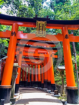 Torii Gates, Fushimi Inari Shrine, Kyoto, Japan