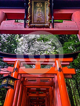 Torii Gates, Fushimi Inari Shrine, Kyoto, Japan