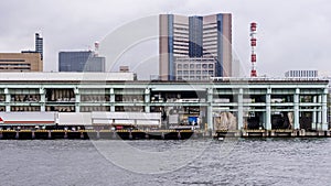 View of the famous Tsukiji fish market in the Chuo district of Tokyo, Japan, seen from the Sumida river