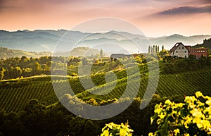 View from famous wine street in south styria, Austria on tuscany like vineyard hills