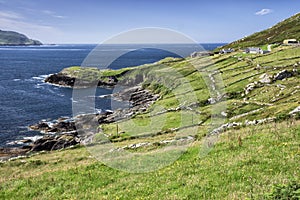 Farm on Hogs Head, Ring of Kerry