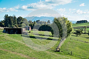 View of farm land at Ohaupo, Waikato, New Zealand NZ NZL looking towards Mount Mt Titiraupenga photo