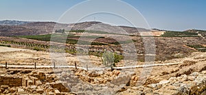 View of the farmland, settlement Shilo in Israel
