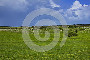 The view of farmland under thin clouded sky in Australia.