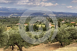 View of farmland and village Mystras on a winter day Greece, Peloponnesus