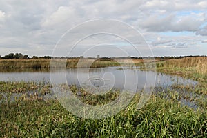 View from Fen Hide at Strumpshaw Fen