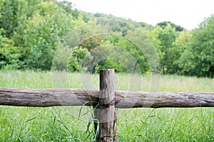 View on fence in middle of field with forest in distance