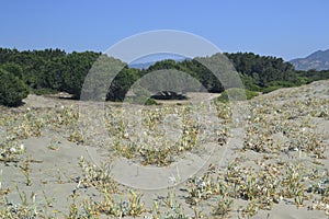 View of Feraxi beach