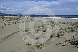 View of Feraxi beach