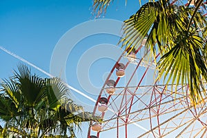 View of the Ferris wheel attraction against a background of blue sky between palm trees.