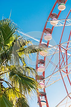 View of the Ferris wheel attraction against a background of blue sky between palm trees.