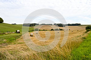 View of a field of bales of straw