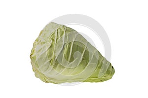 View of field cabbage isolated on white background.