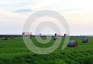 View of a field with hay in rolls against the background of trucks with semi-trailer driving along the highway. Harvesting dry