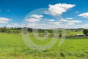 View of a field in Illinois country side