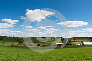 View of a field in Illinois country side