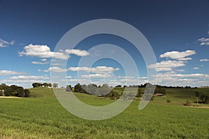 View of a field in Illinois country side