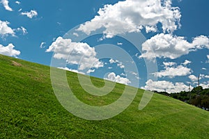 View of a field in Illinois country side