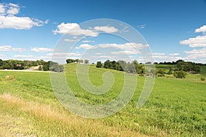 View of a field in Illinois country side