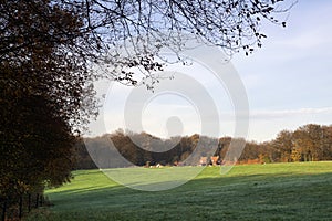 View on a field near the Dutch village Milsbeek