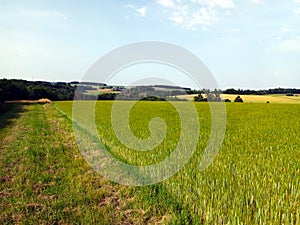 View on field near village Emmelshausen in background in german region Hunsrueck