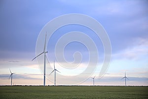 View of field with wind turbines in evening. Alternative energy source