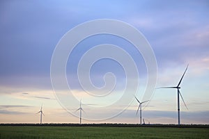 View of field with wind turbines in evening. Alternative energy source