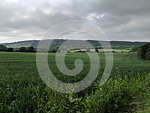 A view in the fields