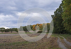 View of fields, row of colorful trees and dirt road running through rural landscape at countryside, Autumn cloudy sky.