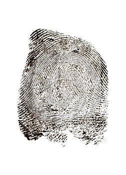 View of a fingerprint revealed by printing. Police fingerprint