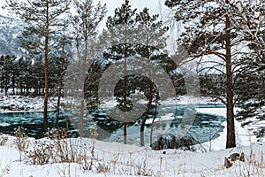 View of fir near the river at winter. The trees and stones are covered with snow