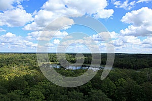 View from the fire tower at Itasca State Park