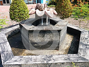 Fish pond in the garden