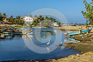 A view of fishing boats and local wildfowl on a tributary to the lagoon in Negombo, Sri Lanka