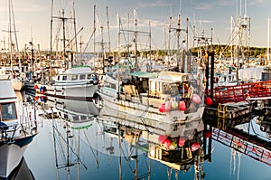 View of a Fishing Harbour at Sunset