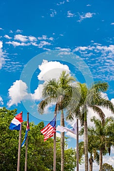 View of the flags, Vinales, Pinar del Rio, Cuba. Vertical.