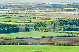 View at flat country with fields from Havrania skala in Male Karpaty mountains