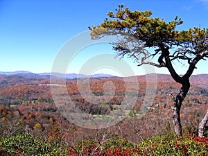 View from Flat Rock of Blue Ridge Parkway