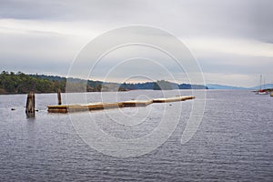 View of floating deck in Oyster Bay, town of Ladysmith, BC, with