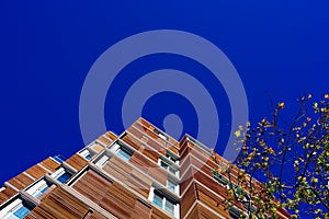 View from the floor of the facade of a modern building clad in ecological wood over clean blue sky, concept of sustainable