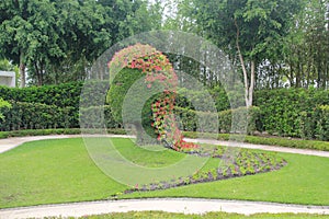 view of floral art, flowers and vegetation of different ecosystems in Jardines de Mexico