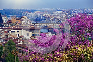 View of Florence