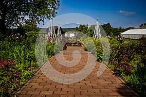 View of the Flower Garden, an English cottage-style garden, featuring allium, peony, clematis,