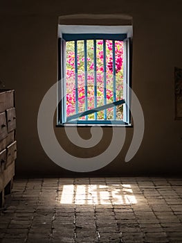 View of flowers through barred window in dark room.