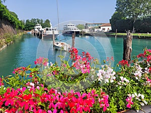 Italy, Lombard - jezioro Garda, kwiaty. photo