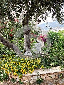 View of flowery stone house garden, Kalkan, Kas, Antalya