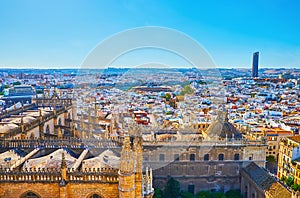 The view fn the Gothic roof of Cathedral and old town, Seville, Spain